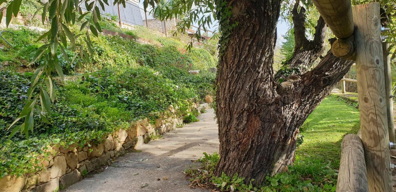 Casa Rural El Pilon Torre Val De San Pedro Ngoại thất bức ảnh